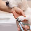 Cat Nail Clipper view 2