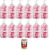 Italian Gourmet Cherry Blossom Dishwashing Liquid, 12 x 450 ml view 1