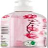 Italian Gourmet Cherry Blossom Dishwashing Liquid, 12 x 450 ml view 4