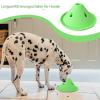 Fukamou Slow Feeder Bowl for Dogs and Cats view 2