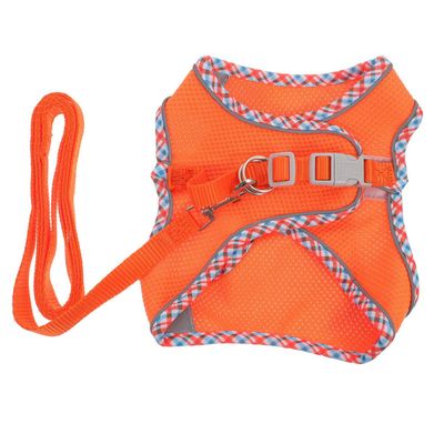 COLLBATH Dog Harness - Padded Safety Harness