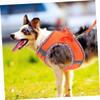 COLLBATH Dog Harness - Padded Safety Harness view 2
