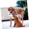 WOONEKY Squeaky Dog Toys, 2-Pack Plush Chew Toys for Puppies, Candy-Shaped, Unstuffed view 2