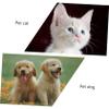 Supvox 5-Pack Halloween Cat Collars with Bows, Adjustable and Removable, Yellow Bat Design view 2