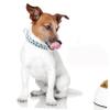 Kisangel Adjustable Dog Collar view 2
