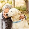 Kisangel Adjustable Dog Collar view 3