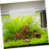 BESPORTBLE Hanging Plant Holder for Aquariums view 4