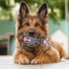 Funny Latex Chew Toy for Dogs view 3
