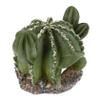 Green Resin Cactus Reptile Hide for Terrariums view 1