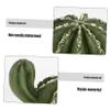 Green Resin Cactus Reptile Hide for Terrariums view 3