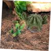Green Resin Cactus Reptile Hide for Terrariums view 4