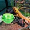 Jubepk Reptile Feeding Bowl view 2