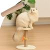Pet Scratching Post view 2