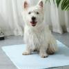 Cooling Mat for Dogs and Cats, 60 x 45 cm, Gray view 4