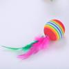 carotoe Interactive Cat Toy, 5 Pieces view 3