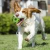 Bouncy PU Dog Ball Chew Toy view 3