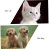 INOOMP 3-Piece Adjustable Halloween Bow Tie Collars for Dogs and Cats view 4