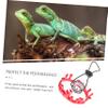 INOOMP 4-Piece Lizard Costume with Crown and Necklace for Small Pets view 4