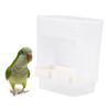 ORFOFE Automatic Feeder for Parrots view 4