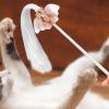 Generic Tassel Cat Wand Toy | Cute Kitten view 3