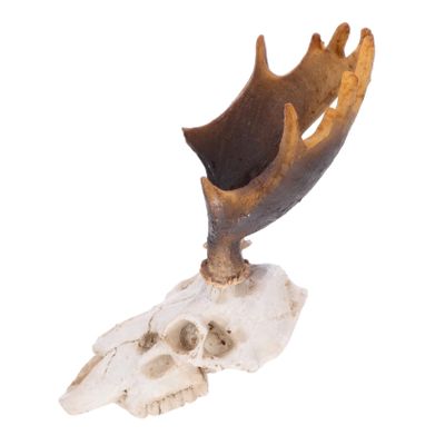 Reptile Terrarium Deer Skull Imitation Hideout, Resin