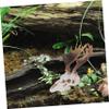 Reptile Terrarium Deer Skull Imitation Hideout, Resin view 2