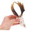 Reptile Terrarium Deer Skull Imitation Hideout, Resin view 4