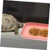 Parliky Water Bowl for Turtles and Reptiles view 3