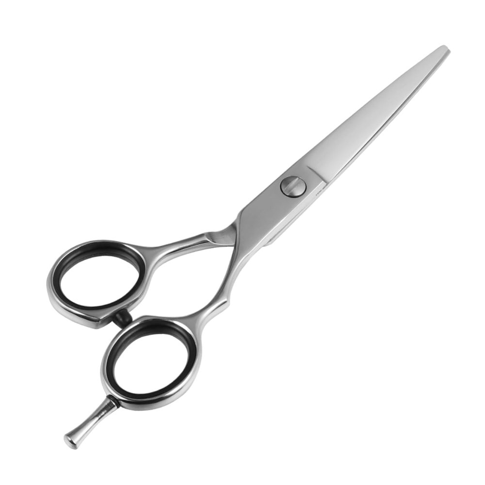 FRCOLOR Stainless Steel Hair Cutting Scissors, Random Style