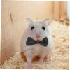BESPORTBLE Mini Adjustable Pet Hat and Bowtie Set view 3