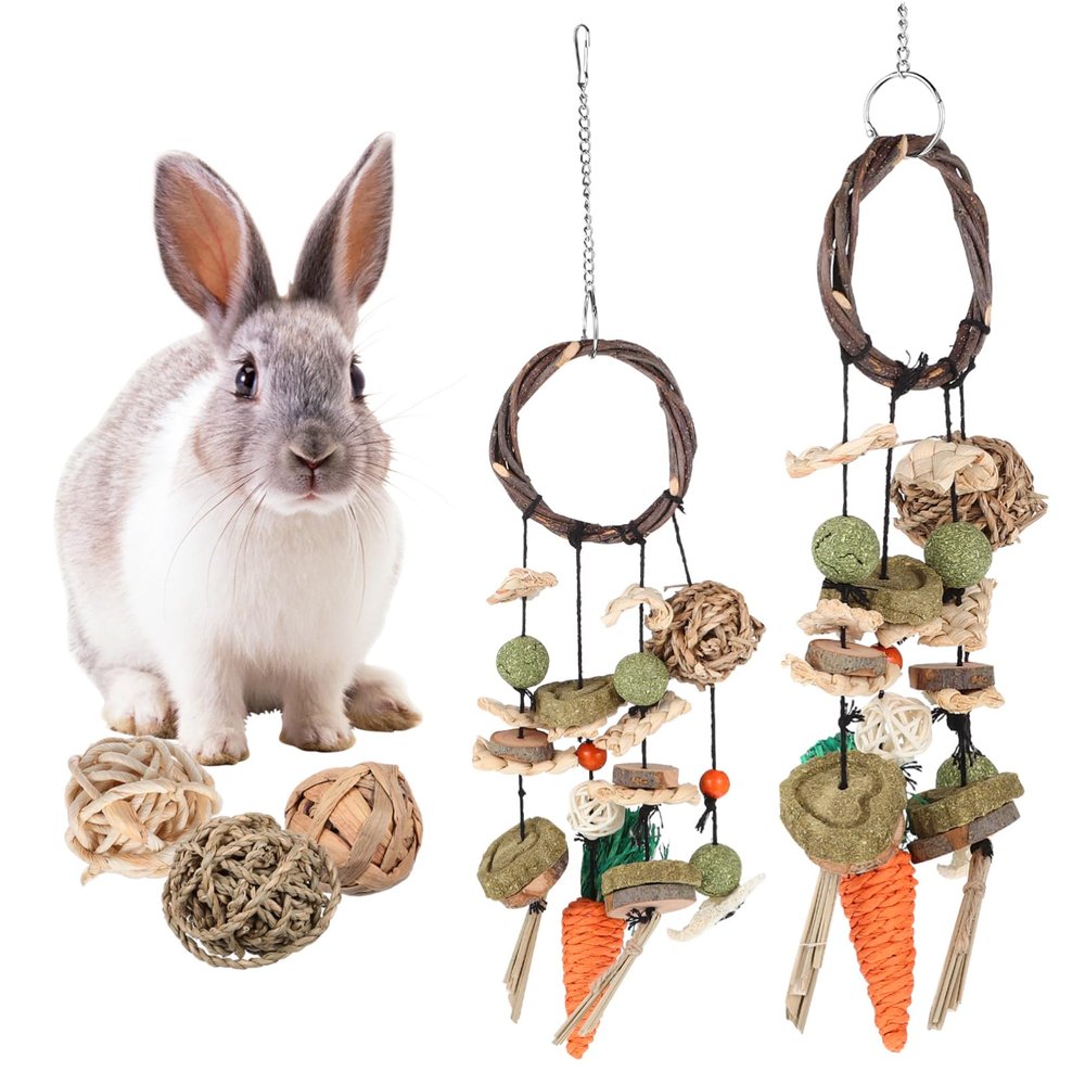 HAPINARY Rabbit Chew and Hanging Toy Set for Cages