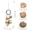HAPINARY Rabbit Chew and Hanging Toy Set for Cages view 2
