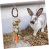 HAPINARY Rabbit Chew and Hanging Toy Set for Cages view 3