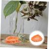 HAPINARY Reptile Water Bowl view 2