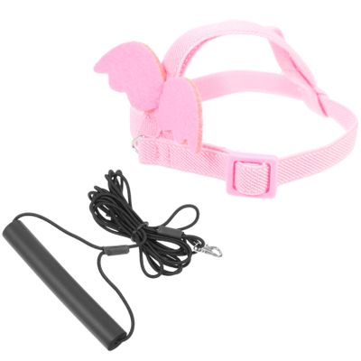 COLLBATH Bird Harness and Leash Set