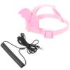 COLLBATH Bird Harness and Leash Set view 1
