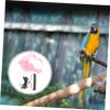 COLLBATH Bird Harness and Leash Set view 4