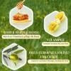 Beef Tallow and Honey Balm for Face and Body, 60 g (Honey, 1 Pc) view 4
