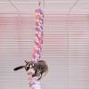 Vjeybv Parrot Rope Toy view 3