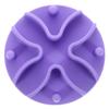 HAPINARY Silicone Slow-Feeder Dog Bowl Insert with Suction Cups, Non-Slip, Helps Prevent Gulping for Small Dogs and Puppies view 1