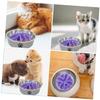 HAPINARY Silicone Slow-Feeder Dog Bowl Insert with Suction Cups, Non-Slip, Helps Prevent Gulping for Small Dogs and Puppies view 3