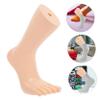 PLAFOPE Foot Mannequin Toe Sock Holder, 2-Piece Five-Toe Sock Display view 3