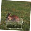 Parliky Space-Saving Acrylic Hay Feeder, 2-Pack, Transparent, Easy to Clean, for Guinea Pigs and Chinchillas view 2