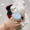 FUXIU Squeaky Plush Dog Chew Toy view 3