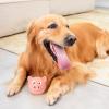 Squeaky Latex Pig Dog Toy view 2