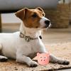 Squeaky Latex Pig Dog Toy view 3
