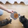 Dog Lick Mat | Silicone Lick Pads for Puppies view 2