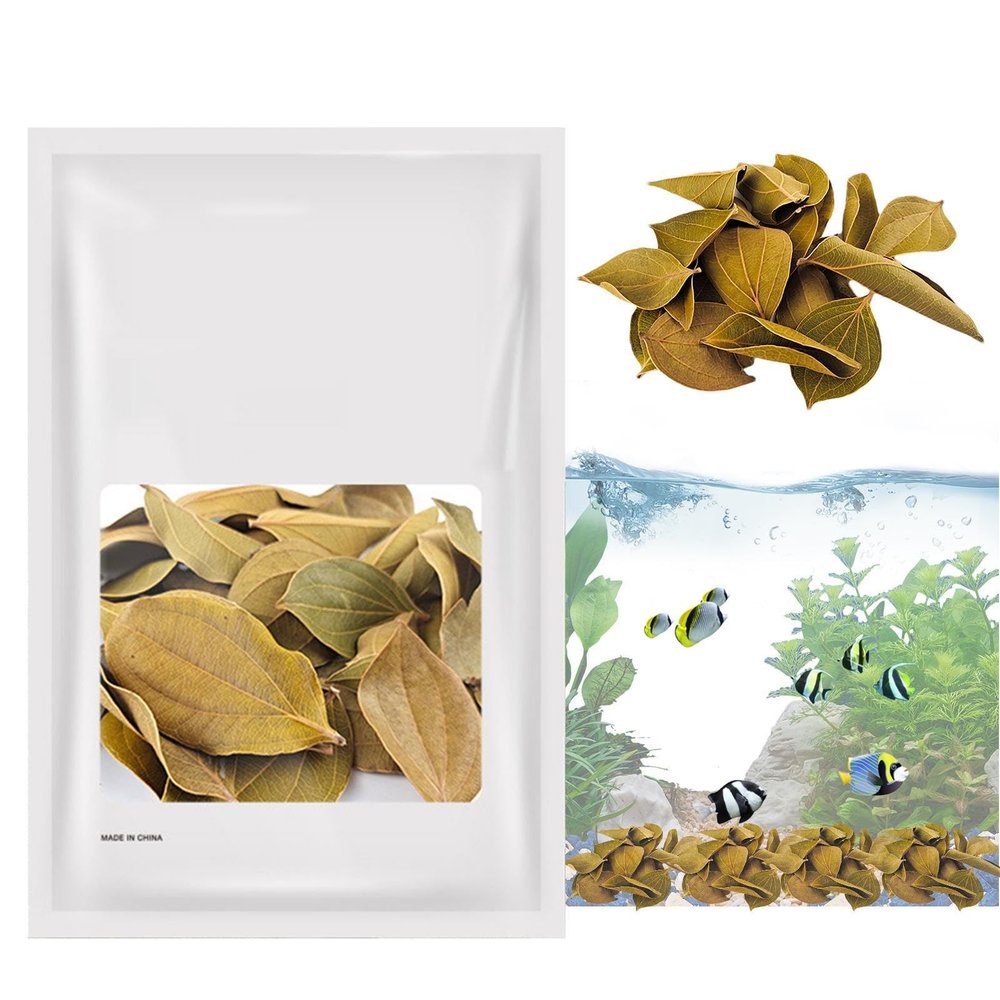 Aquarium Leaf Decor, Quinoa Leaves for Betta Tank, 5 - 9 cm
