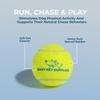 Best Pet Supplies Squeaky Tennis Balls for Dogs, 4-Pack view 3