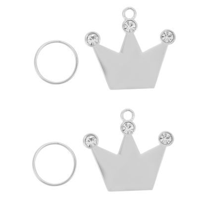 BESPORTBLE 2-Pack Zinc Alloy Pet ID Tags